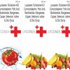 lyconea-plus