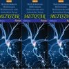 metystar