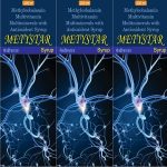 metystar