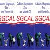 sg-cal