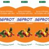 sg-prot