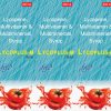lycoplus-m