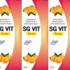 sg-vit